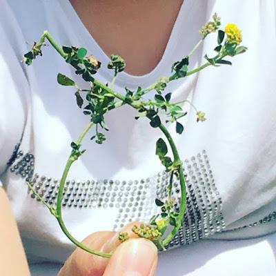 domingo, naturaleza, sol, deporte, familia, salida en familia, 