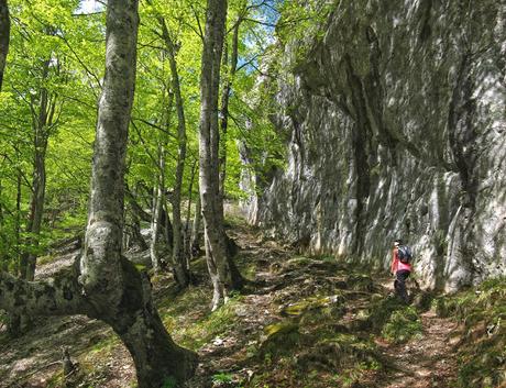 Peña Melera desde Felechosa por Foces del Pino Peña Melera desde Felechosa por Foces del Pino