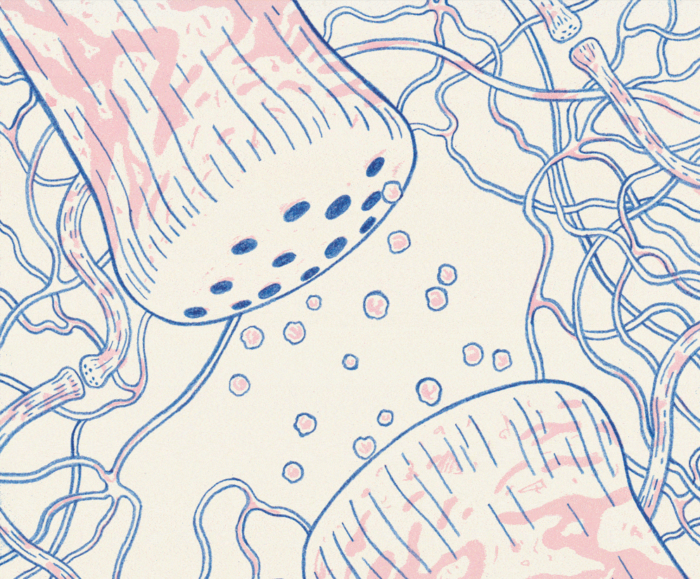 3ezgif.com-optimize La accidentada historia de la depresión y la serotonina