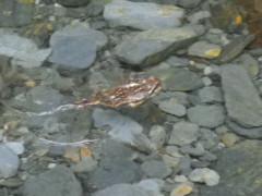 Imágenes de la Sierra Norte en mayo