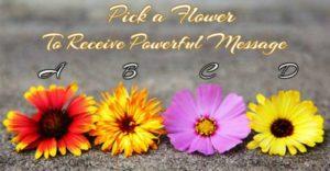 ¡Elige una flor para recibir un mensaje poderoso! flower-800x416