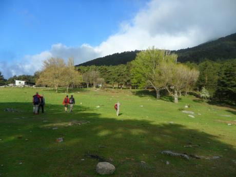 LA PEÑOTA (DESDE CERCEDILLA)