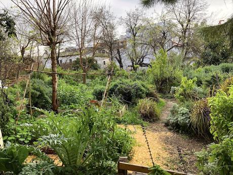 El Huerto del Rey Moro.