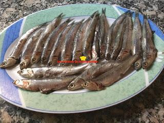 BOQUERONES EN VINAGRE BLANQUITOS Y DURITOS