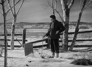 El joven Lincoln (Young Mr. Lincoln, John Ford, 1939. EEUU)