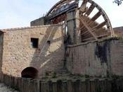 Rueda nombre Monasterio Sástago