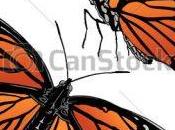 sorprendente viaje mariposa monarca