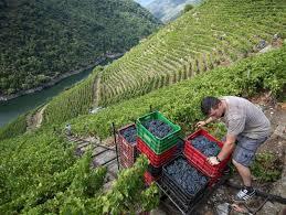 TODO ESTO TE DARÉ TODO ESTO TE DARÉ