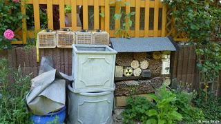 Alemania y el auge de la apicultura urbana