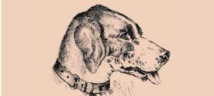 De acuerdo con los científicos, sólo el 1% de la población puede resolver este enigma sin ayuda TEST