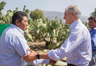 FORTALECERÁ GOBERNADOR LA PRODUCCIÓN Y COMERCIALIZACIÓN DE NOPAL MEXIQUENSE