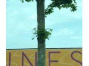 Cannes 2018 (III): Gana cine