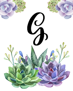 Suculetas de la A a la Z Suculetas de la A a la Z