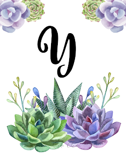 Suculetas de la A a la Z Suculetas de la A a la Z