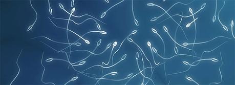 Espermatozoides
