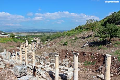 Bibliotecas y librerías del mundo | La biblioteca de Celso