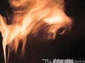 Canciones "Viajes Fondo Precipicio"