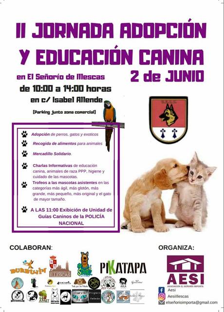 II jornada de educación y adopción en Illescas. 2 de Junio. jornada educacion adopcion illescas