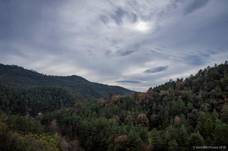 Escondido entre pinceladas de vapor
