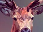 Diseño gráfico gran carrera universitaria