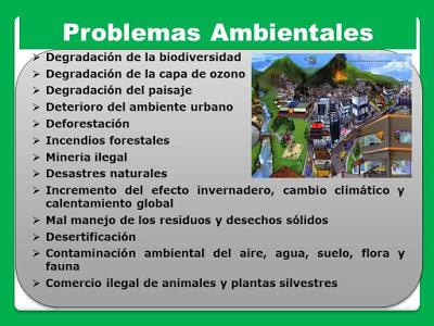 problemas ecologicos principales problemas ecologicos