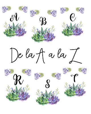 5 mejores ideas con Cactus y Suculentas 5 mejores ideas con Cactus y Suculentas