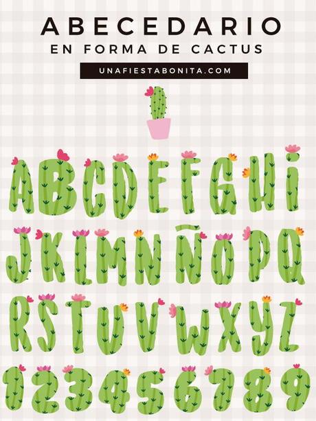 5 mejores ideas con Cactus y Suculentas 5 mejores ideas con Cactus y Suculentas