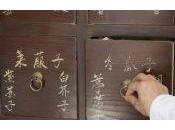 ¿Podría terapia frecuencia electromagnética tratar enfermedad Lyme crónica?