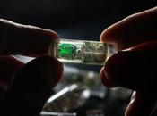 Crean dispositivo comestible capaz detectar enfermedades digestivas