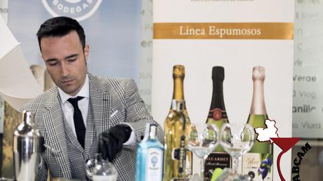 IV Campeonato de Coctelería de Castilla La Mancha