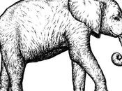 último suspiro elefante