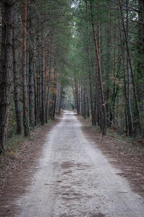 El viejo camino del tren
