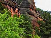 Parque Natural Alto Tajo. Barranco Gallo, espectáculo columnas rojas