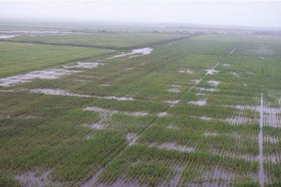 17 000 evacuados en Villa Clara por intensas lluvias en Cuba [+ fotos y videos]