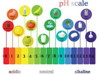 Google dedica un doodle al creador de la escala pH.