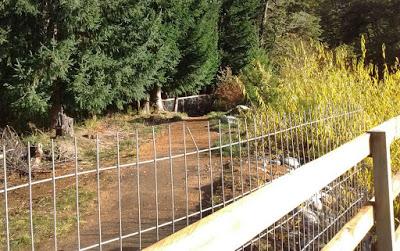 Villa La Angostura Hensel: “Hicimos una denuncia penal y un pedido a Recursos Hídricos” Villa La Angostura Hensel: “Hicimos una denuncia penal y un pedido a Recursos Hídricos”