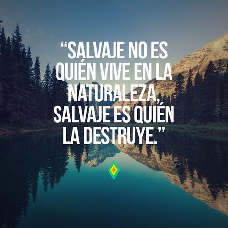frases ambientales frases ecologicas