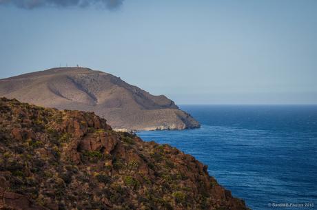 La Torre de los Lobos