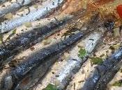 Sardinas finas hierbas tomates asados