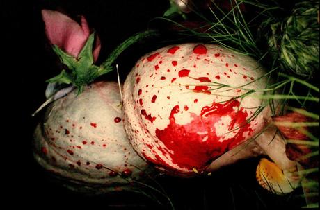 Nobuyoshi Araki acusado de explotación por su musa expone en NYC Nobuyoshi Araki acusado de explotación por su musa expone en NYC
