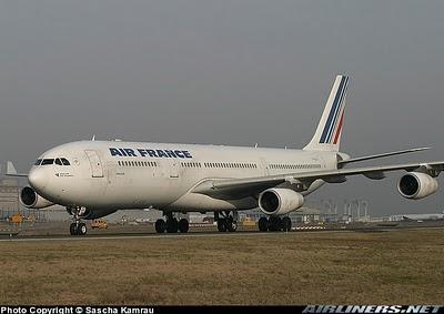 GRANDES ACCIDENTES AEREOS: ENTRE EL MAL TIEMPO Y ERRORES DE PILOTAJE, EL TREPIDANTE Y MILAGROSO ATERRIZAJE DEL VUELO 358 DE AIR FRANCE.