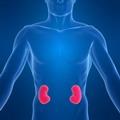 “La gente no sabe que el riñón es vital para evitar afecciones cardiovasculares”