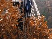 Neorural. vuelta nido.