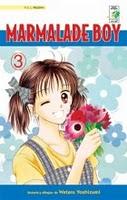 Reseñas Manga: Marmalade Boy # 3