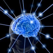La inteligencia es solo una y a ti te encontré en la amígdala!