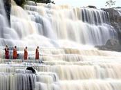 “salvar mundo” dañar