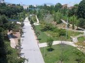 Taller Arboricultura: Aprender observar para comprender. Terrasa.