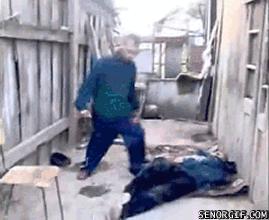 GIFs con los que me parto el... ¿pecho?