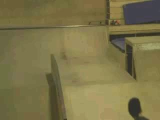 GIFs con los que me parto el... ¿pecho?