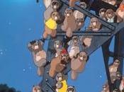 Tanuki: ¿mapache? japonés